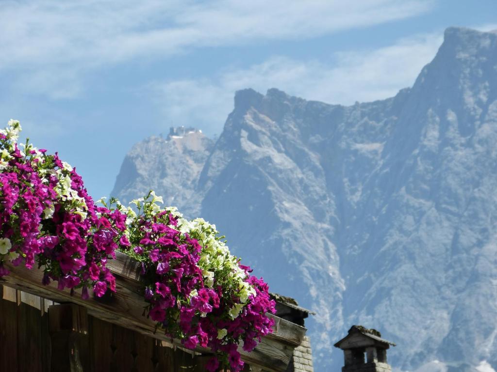 Appartements Alpenland Лермос Екстериор снимка
